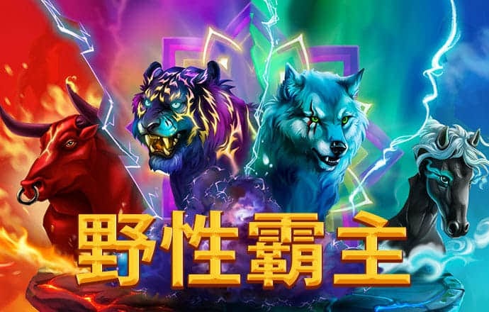 澳门最准资料免费网站2